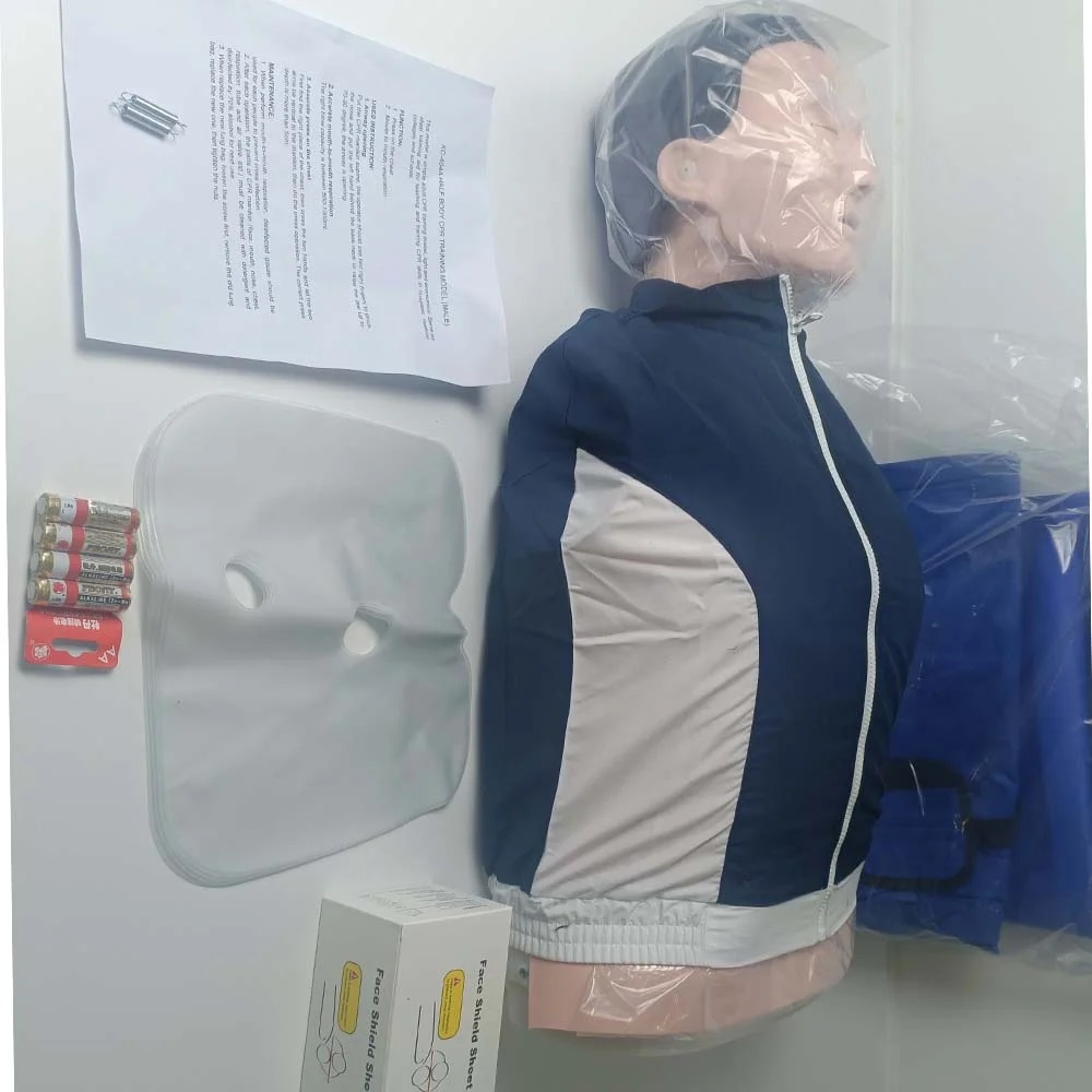 Human Model