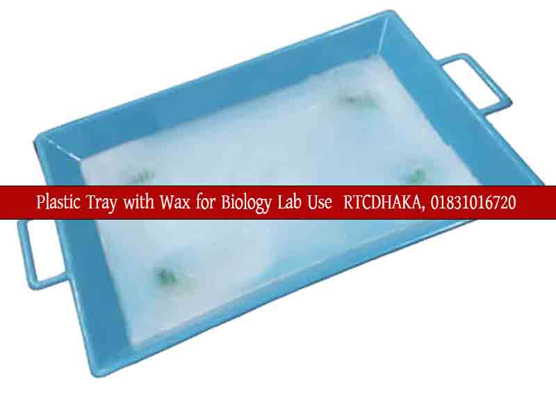 Plastic Tray with Wax for Biology Lab Use